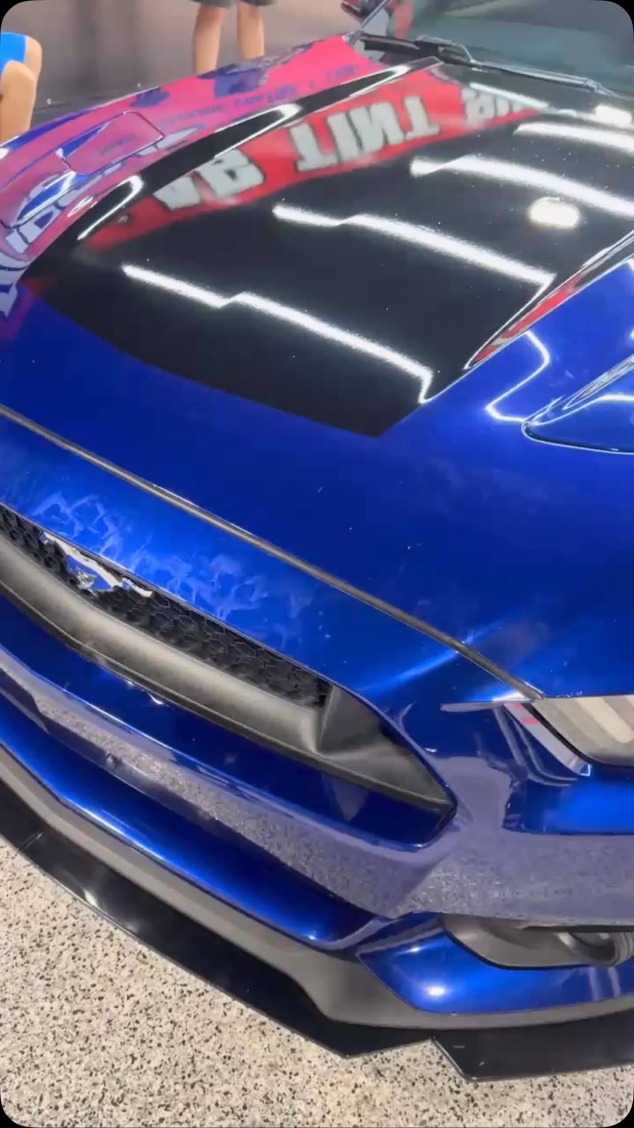Vinyl Wraps at Dallas Tint Shop on a Ford